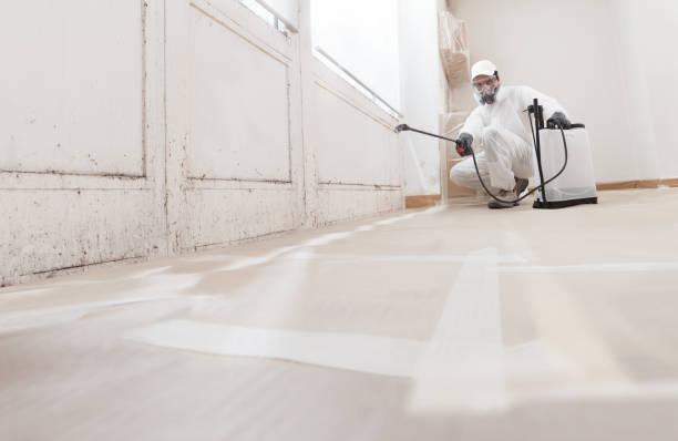 24/7 Emergency Mold Remediation experts in Purcellville, VA